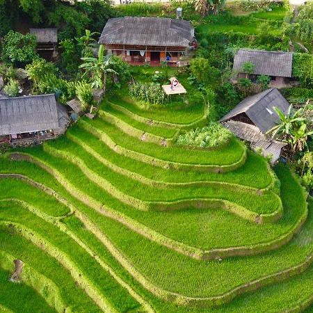 My'S Homestay Sapa Exteriör bild