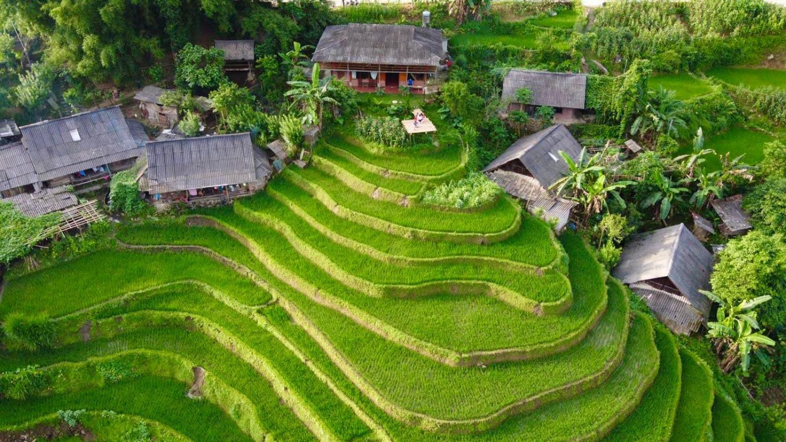 My'S Homestay Sapa Exteriör bild