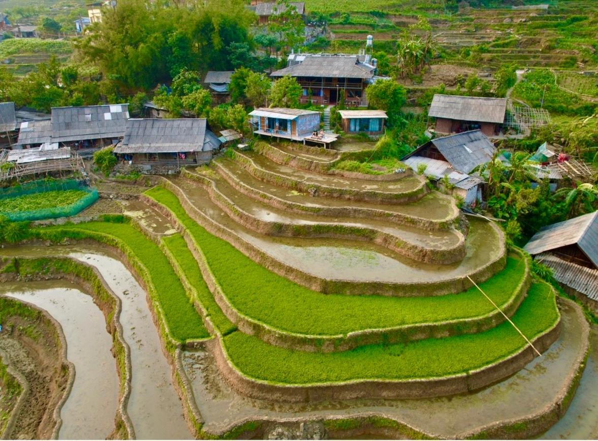 My'S Homestay Sapa Exteriör bild