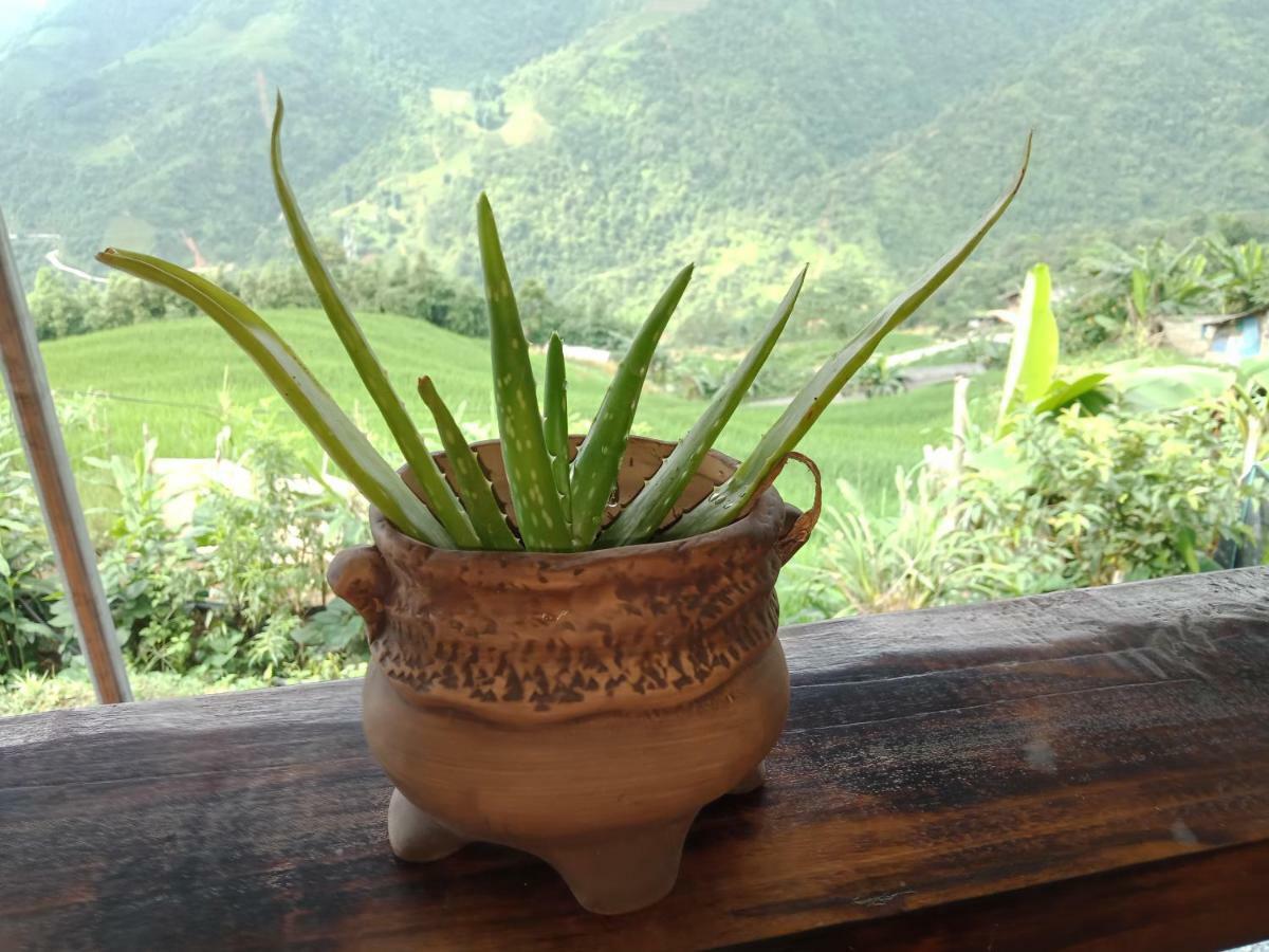 My'S Homestay Sapa Exteriör bild